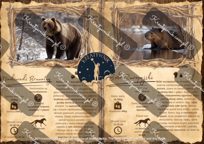 Mieszkańcy polskiego lasu Mieszkańcy polskiego lasu