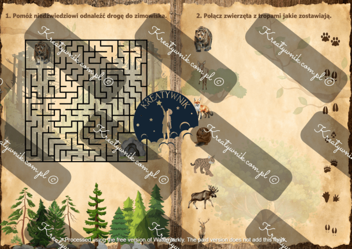 Mieszkańcy polskiego lasu Mieszkańcy polskiego lasu