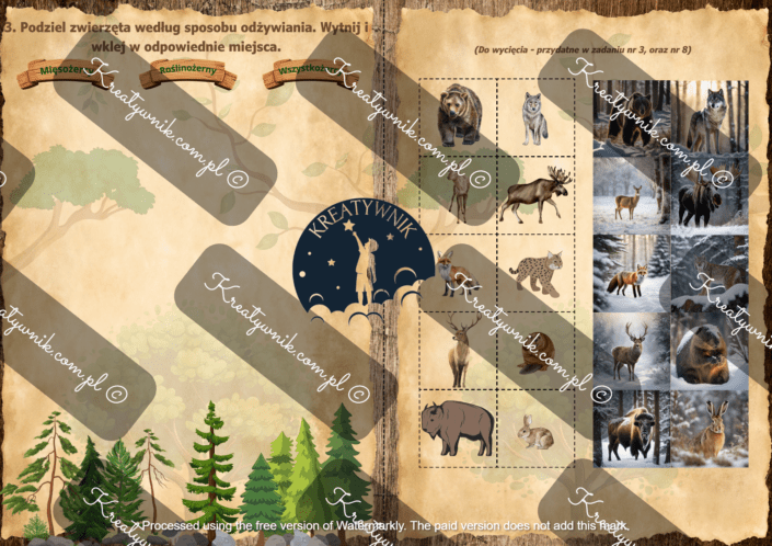 Mieszkańcy polskiego lasu Mieszkańcy polskiego lasu